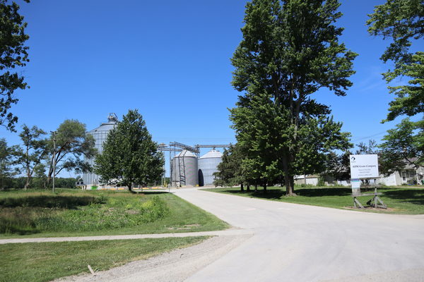 Snover - June 2021 Photo (newer photo)